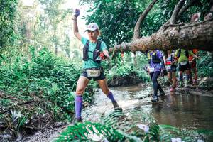 BIB: 
                            <button type="button" onclick="openModal(25459713)" class="btn btn-primary btn-sm float-right btn-popup" data-toggle="modal" data-target=".modal-high-quality">
                        <i class="fas fa-shopping-cart"></i> Add to Cart
                    </button>
                                            <button type="button" onclick="isThisMe(25459713, true)" class="btn btn-success btn-sm float-right btn-popup btn-isme hidden" data-toggle="tooltip" data-placement="bottom" title="นี่คือรูปของคุณใช่ไหม คลิกที่นี่เพื่อเอาเข้าอัลบั้ม">
                        <i class="fas fa-plus"></i> Add to album
                    </button>
                    <button type="button" onclick="isThisMe(25459713, false)" class="btn btn-warning btn-sm float-right btn-popup btn-isnotme hidden">
                        <i class="fas fa-ban"></i> Remove from album
                    </button>